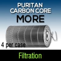 Puritan carbon core